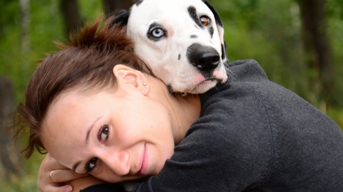 Забота о собаке ляжет на плечи взрослых (фото: tub.tubgit.com)