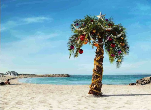 Вместо ёлки можно нарядить пальму (фото: womo.com.ua)