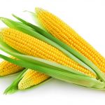 Секреты приготовления кукурузы: лучшие рецепты