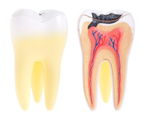 Если крошатся молочные зубы, визит к стоматологу обязателен (фото: estet-portal.com)